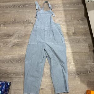Aerie Light Blue Women's Denim Overalls